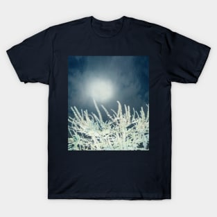 Silver Moon T-Shirt